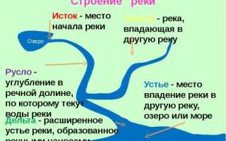 Где находится и какие особенности имеет устье реки Нил?
