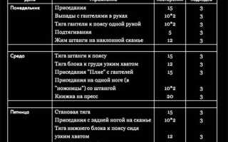 Программы тренировок для девушек