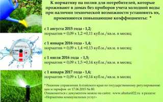 Начинающим огородникам на заметку: как часто поливать огород летом
