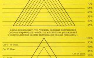 Пирамида в бодибилдинге
