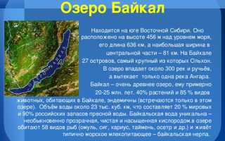 О Байкале в цифрах: ширина, длина, глубина и другие размеры озера