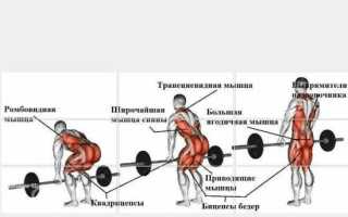 Правильная техника выполнения становой тяги в классической технике и сумо