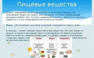 Почему бодибилдеры не считают белок из углеводов?