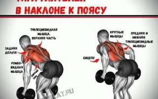 Разведение гантелей в наклоне
