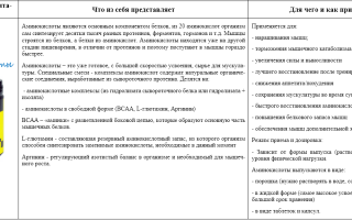 Бодибилдинг и гейнер
