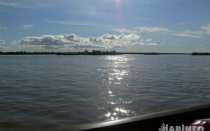 Обзор экологических проблем реки Обь и действий по их устранению