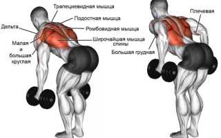 Как накачать широкую спину?
