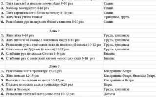 То, что нужно знать если нет желания платить деньги за хорошую программу тренировок.