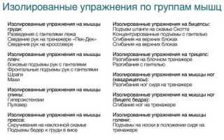 Базовые и изолирующие упражнения