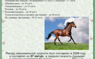 Скорость бега обычного и тренированного человека