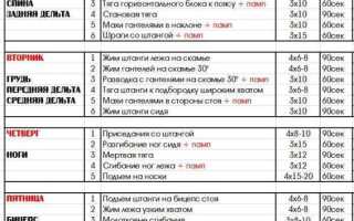 Особенности программы тренировок на рельеф: принципы, питание, упражнения