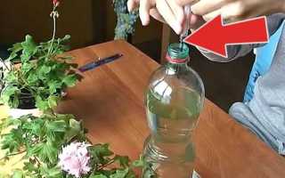 Основные причины, почему не рекомендуется поливать растения холодной водой