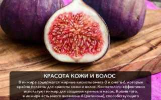 Инжир для всех. Как импортное лакомство влияет на наш организм